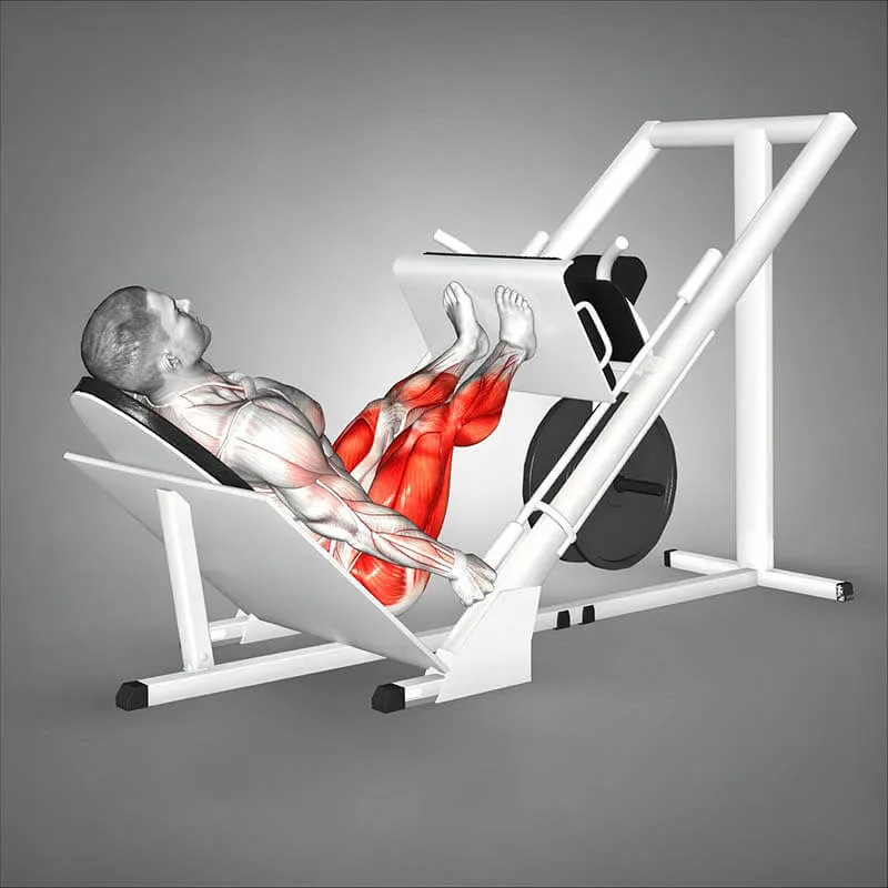 Квадрицепс в жиме лежа