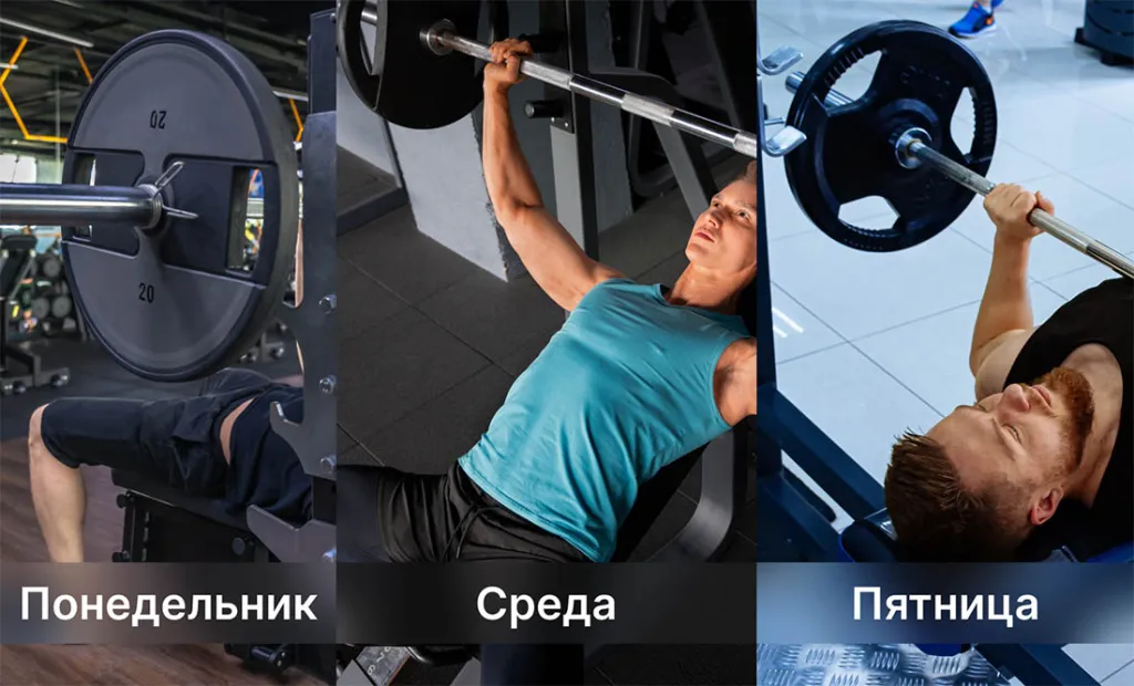 Частота выполнения жима штанги лежа