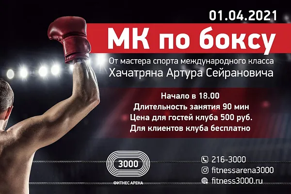 Мастер-класс по боксу