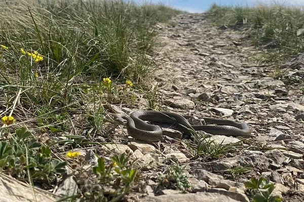 3000+ КИЛОМЕТРОВ ПО УРАЛУ