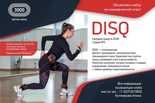 Набор на коммерческий класс DISQ