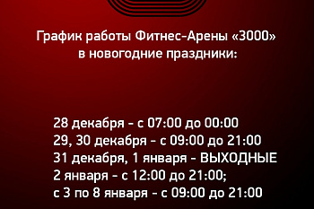 Представляем наш новогодний график работы!